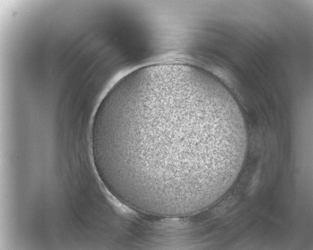 X0000063451478200601231339