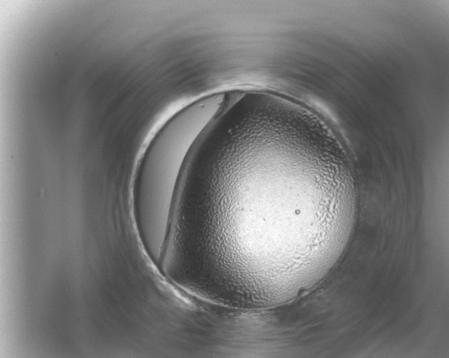 X0000063451480200601231339