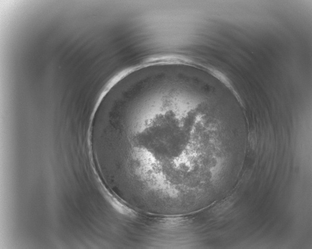 X0000063451482200601231339