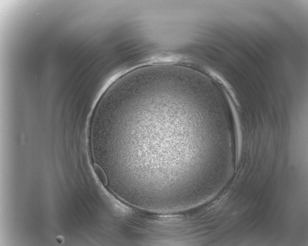 X0000063451483200601231339