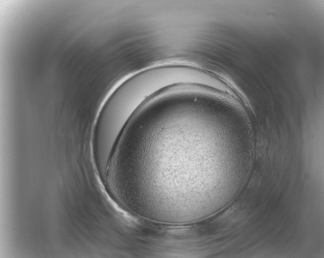 X0000063451484200601231339