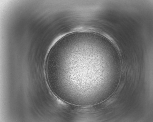 X0000063451486200601231339