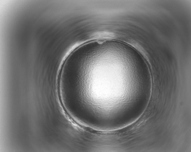 X0000063451488200601231339