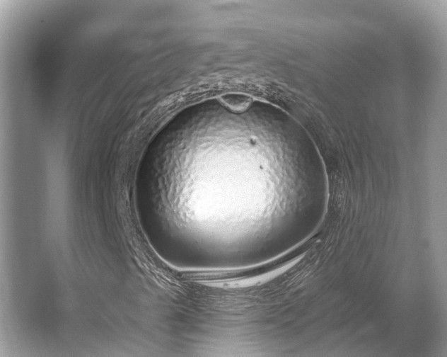 X0000063451489200601231338