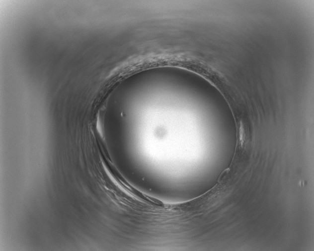 X0000063451492200601231338