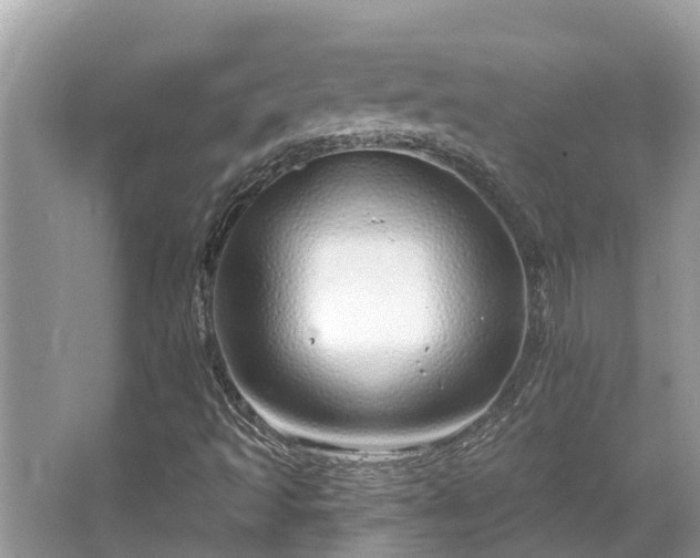 X0000063451493200601231338