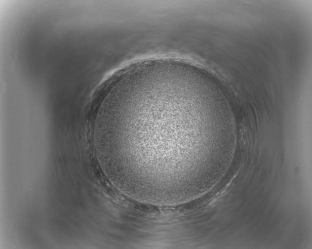 X0000063451494200601231338