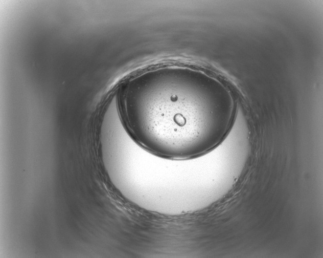 X0000063451496200601231338