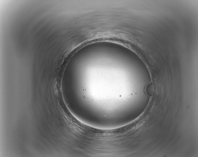 X0000063451497200601231338