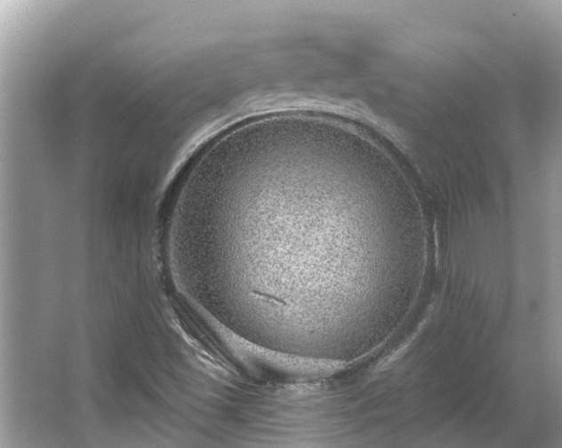 X0000063451501200601231338