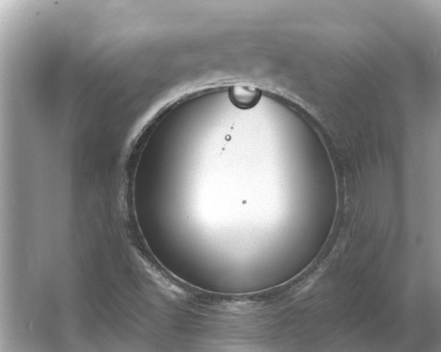 X0000063451502200601231338