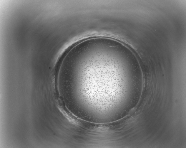 X0000063451503200601231338