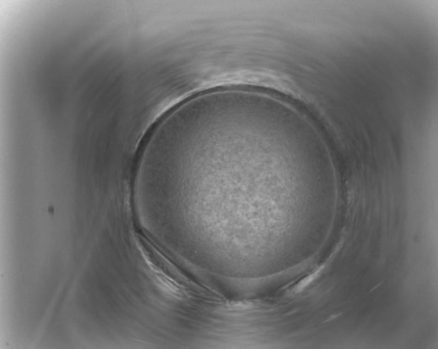 X0000063451505200601231338