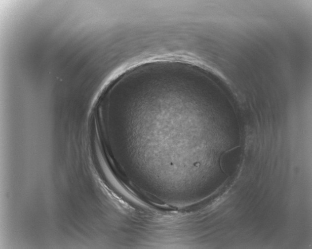 X0000063451506200601231338