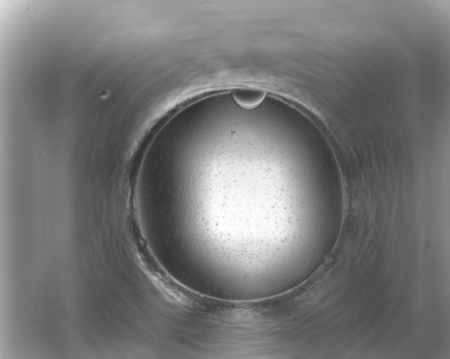 X0000063451507200601231338