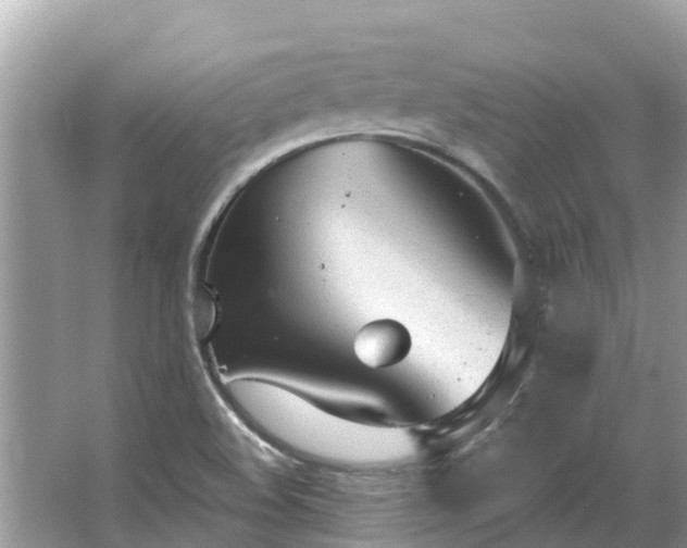 X0000063451508200601231338