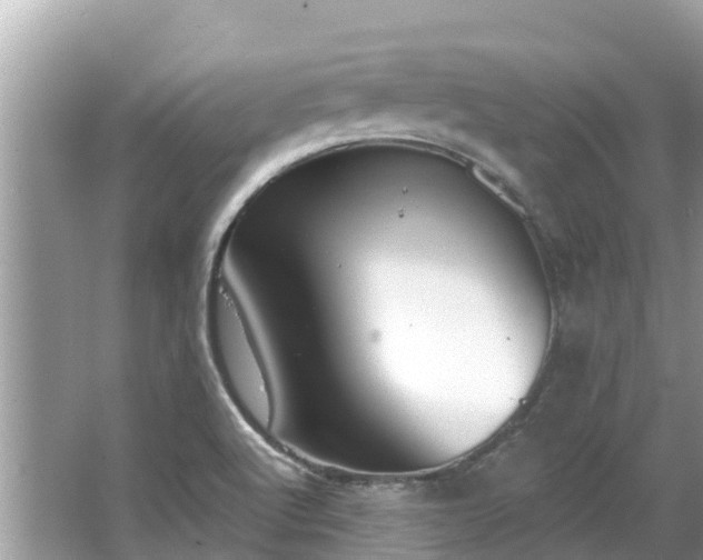 X0000063451512200601231338