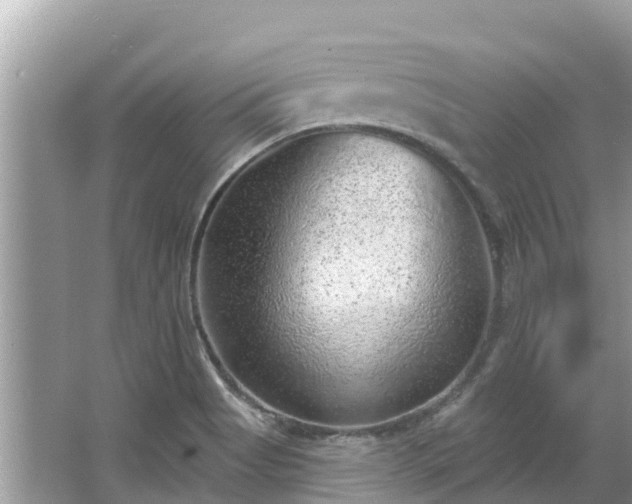 X0000063451513200601231338