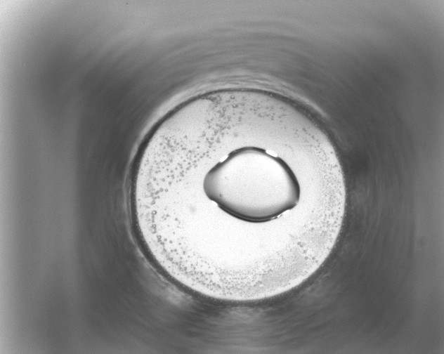 X0000063451514200601231338