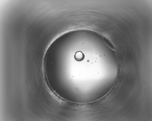 X0000063451516200601231338