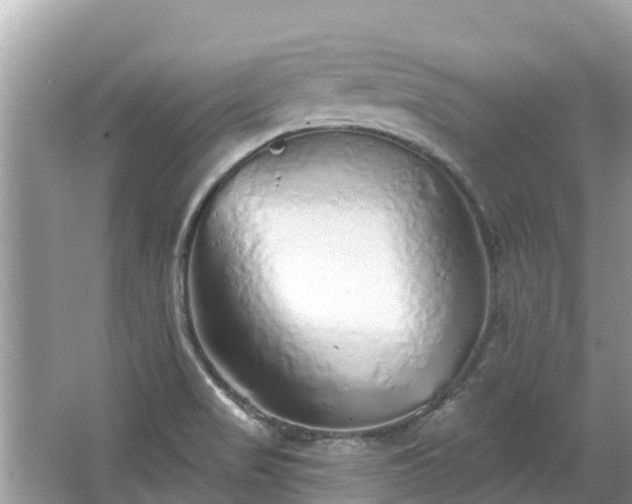 X0000063451517200601231338