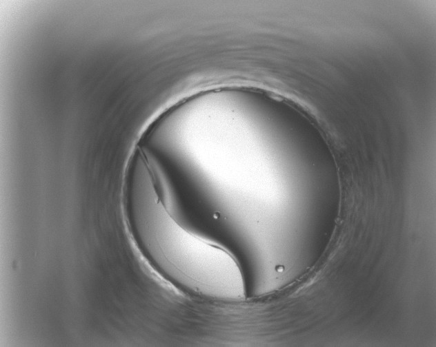 X0000063451518200601231338