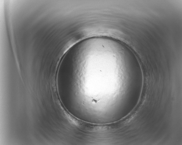 X0000063451521200601231338