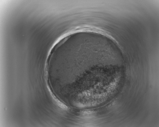 X0000063451522200601231338