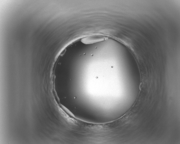 X0000063451524200601231338