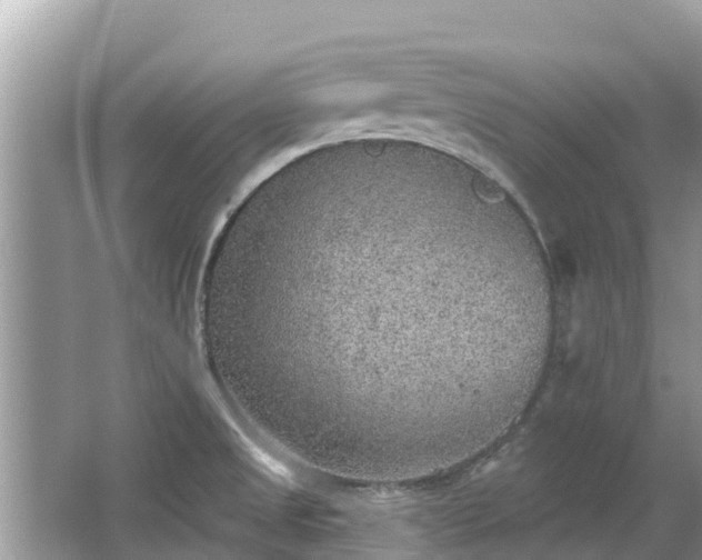 X0000063451525200601231338