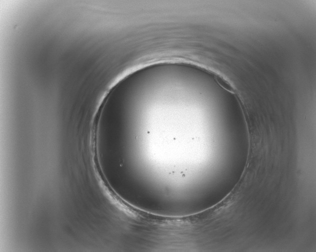 X0000063451526200601231339