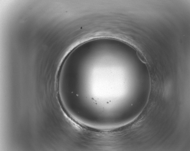 X0000063451527200601231339