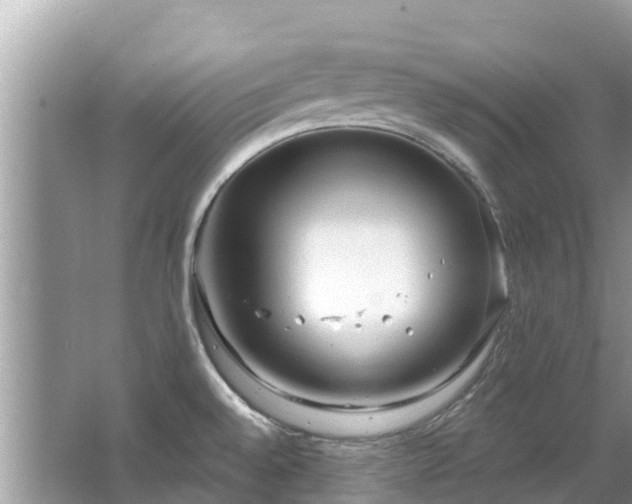 X0000063451528200601231339