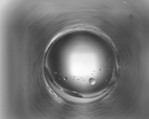 X0000063451530200601231339