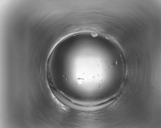 X0000063451532200601231339