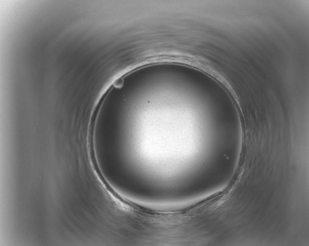 X0000063451533200601231339