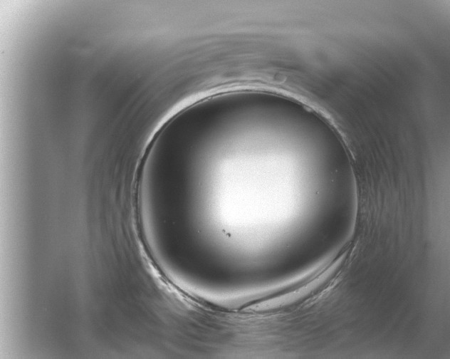 X0000063451534200601231339