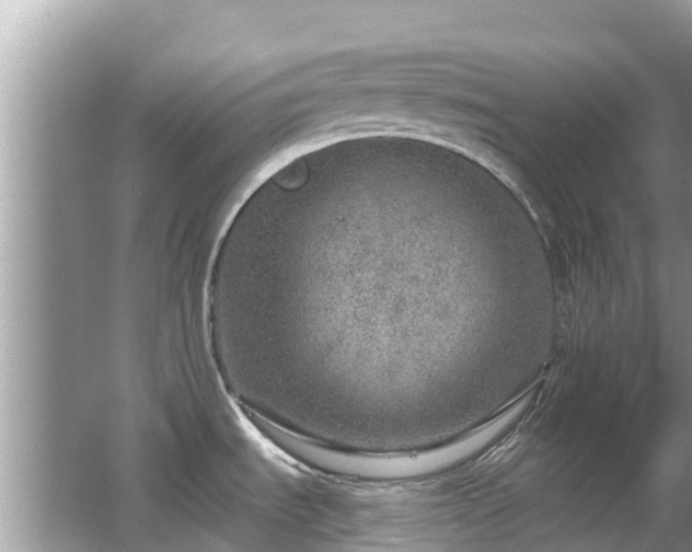 X0000063451535200601231339