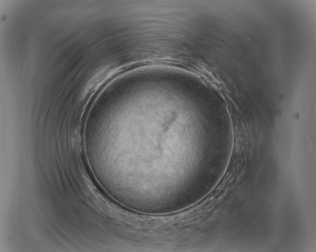 X0000063450002200601271551