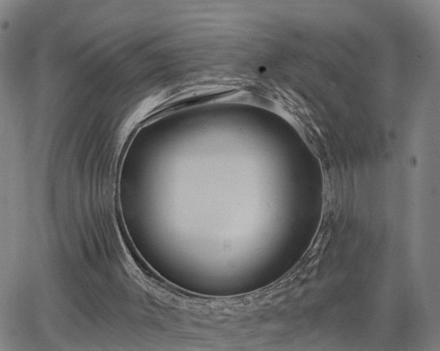 X0000063450003200601271551