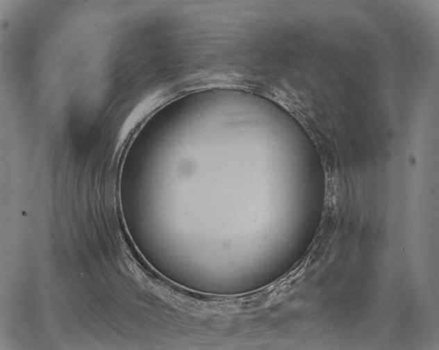 X0000063450004200601271551