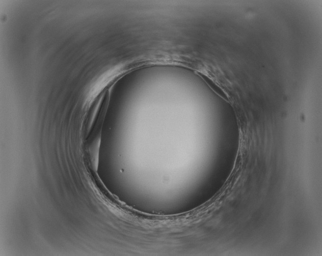 X0000063450005200601271551