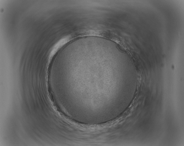 X0000063450006200601271551