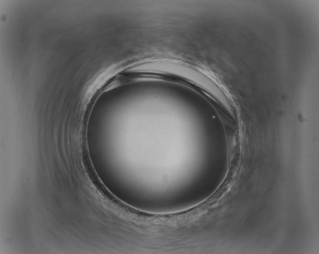 X0000063450007200601271551