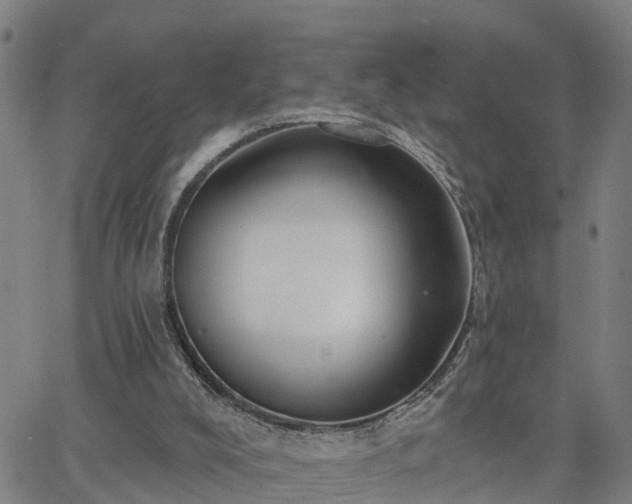 X0000063450008200601271551