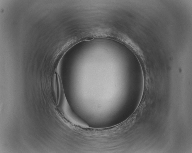 X0000063450009200601271551