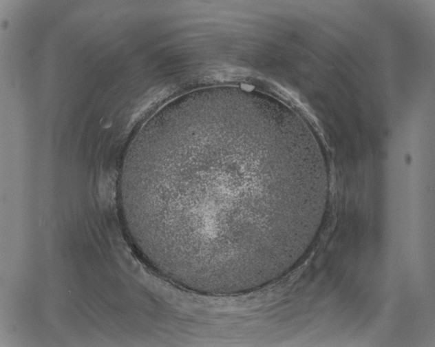 X0000063450010200601271551