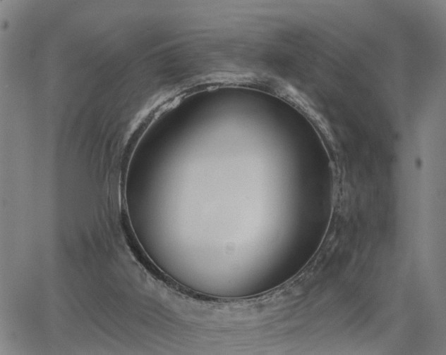 X0000063450011200601271551