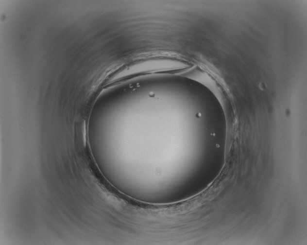 X0000063450013200601271551