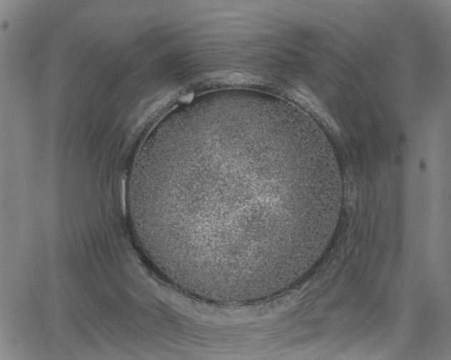 X0000063450014200601271551